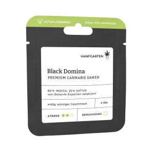 Black Domina | Autoflowering