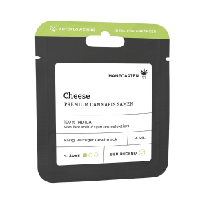 Cheese | Autoflowering