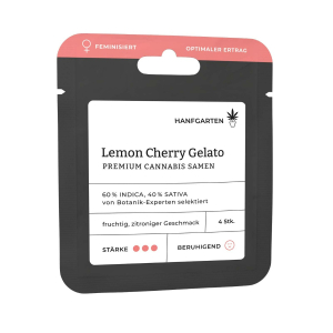 Lemon Cherry Gelato | Feminisiert