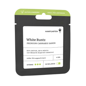 White Runtz | Autoflowering
