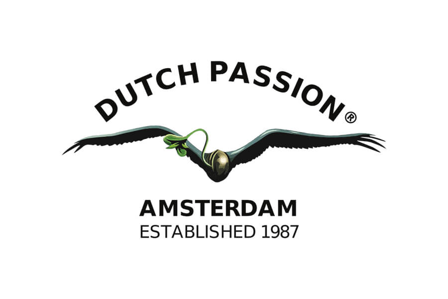 Über Dutch Passion